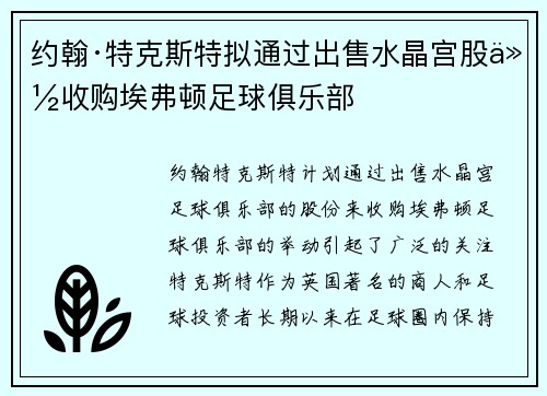 约翰·特克斯特拟通过出售水晶宫股份收购埃弗顿足球俱乐部